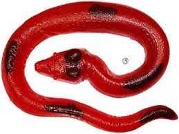 ROSSINI GUMMY PYTHON GR. 40