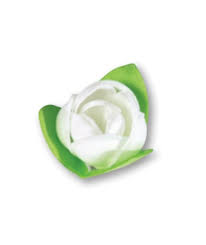 MODECOR ROSA BIANCA CON FOGLIE IN OSTIA (13080G)