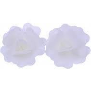 GRAZIANO GARDENIA SFUSA IN CIALDA LILLA (01408L)