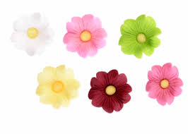 MODECOR PORTULACCHE IN ZUCCHERO (11294)